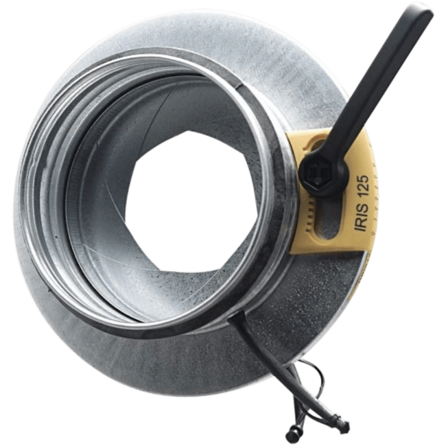 DRIS-DEC-INTERNATIONAL_6257511345571